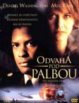 ODVAHA POD PALBOU dvd